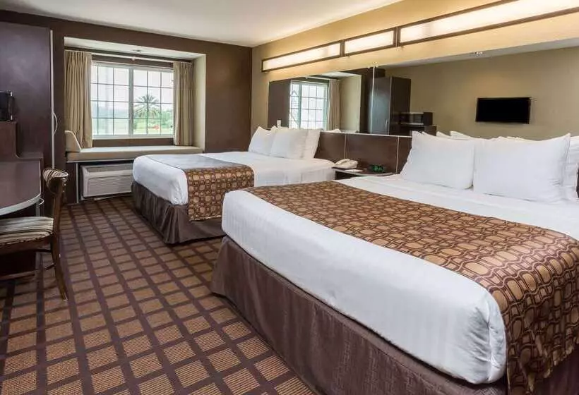 Microtel Inn & Suites By Wyndham Jacksonville Airport