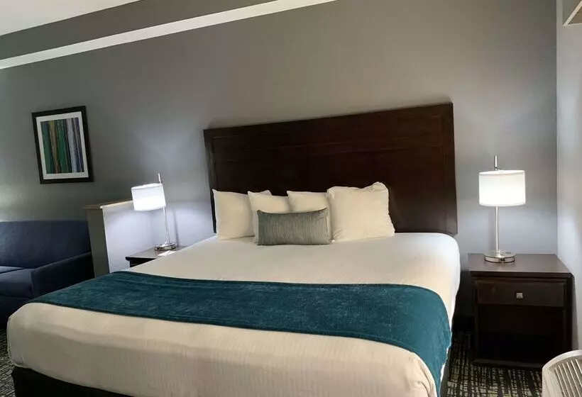 Best Western Plus Olive Branch Hotel & Suites