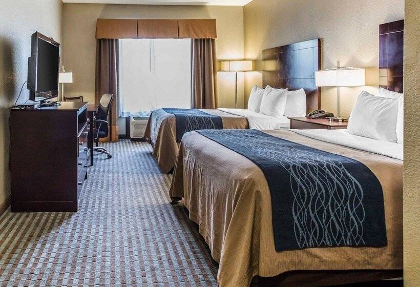 فندق Comfort Inn & Suites Ballpark Area