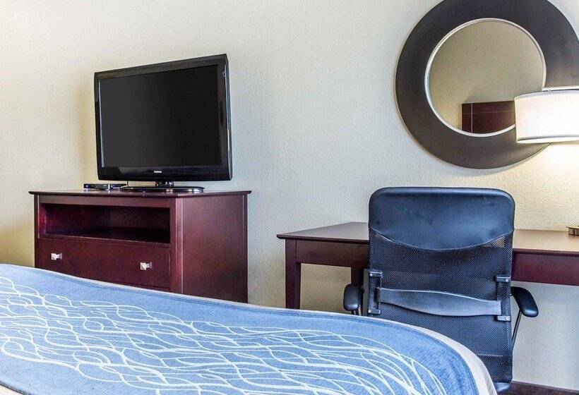 فندق Comfort Inn & Suites Ballpark Area