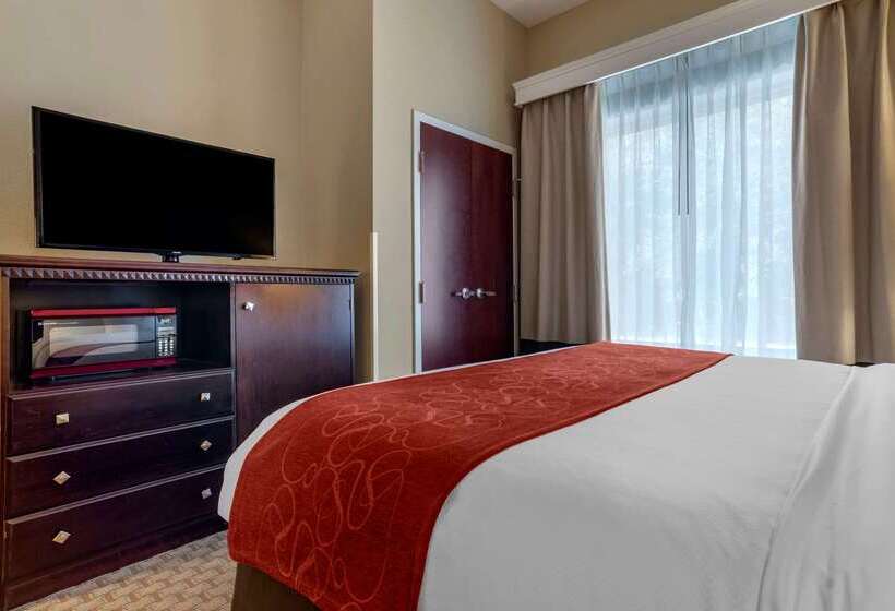ホテル Comfort Suites Biloxi/ocean Springs