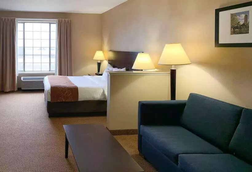 Отель Comfort Suites Roanoke   Fort Worth North
