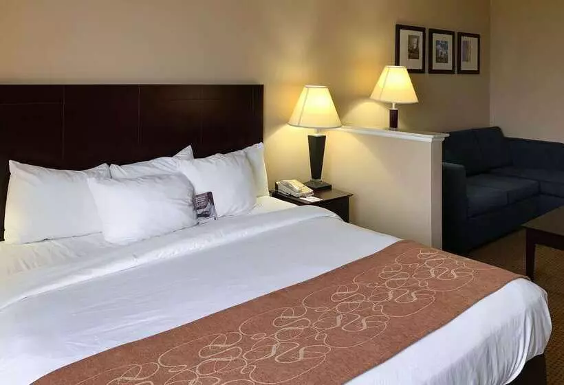 Отель Comfort Suites Roanoke   Fort Worth North