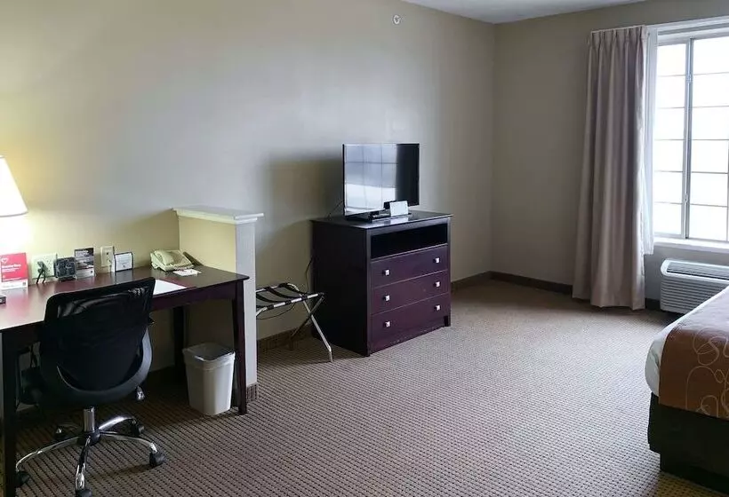 Отель Comfort Suites Roanoke   Fort Worth North