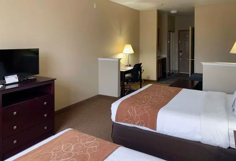 Отель Comfort Suites Roanoke   Fort Worth North