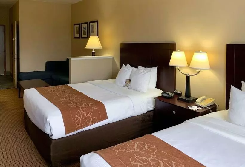 Отель Comfort Suites Roanoke   Fort Worth North