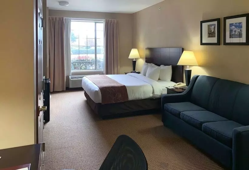 Отель Comfort Suites Roanoke   Fort Worth North