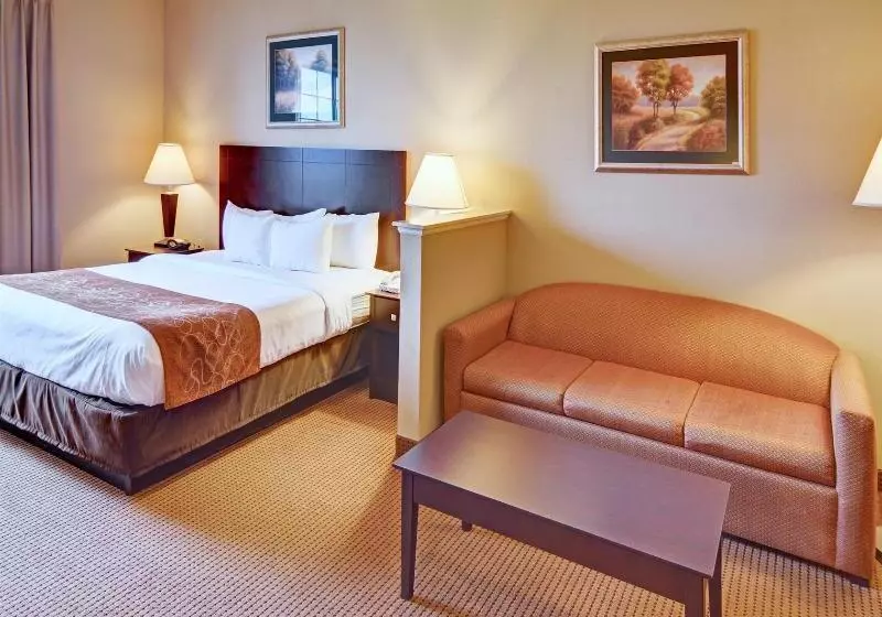 Отель Comfort Suites Roanoke   Fort Worth North