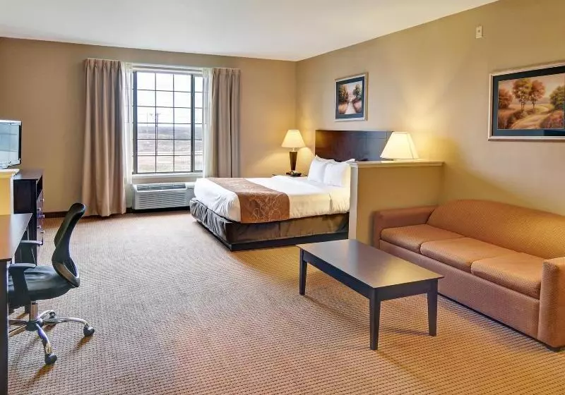 Отель Comfort Suites Roanoke   Fort Worth North