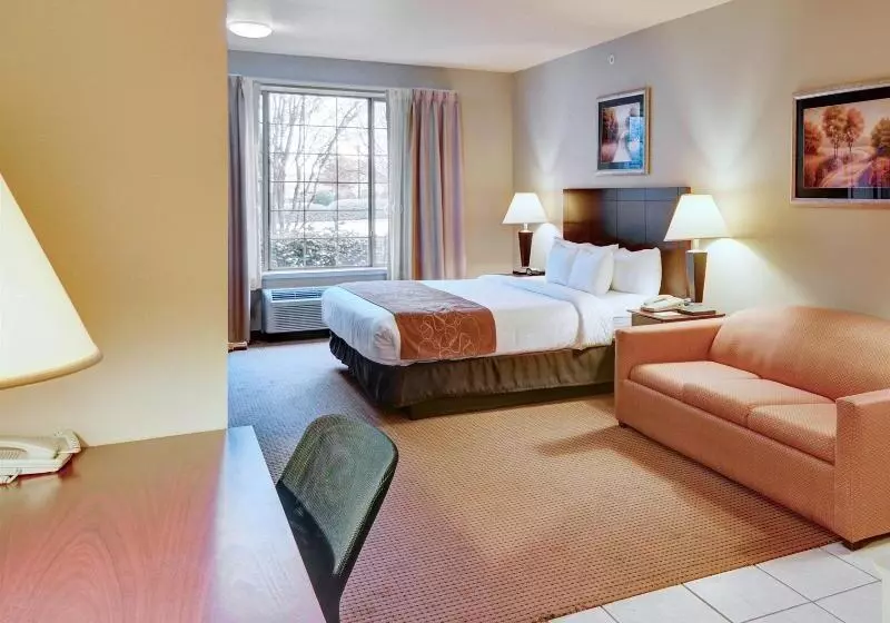 Отель Comfort Suites Roanoke   Fort Worth North