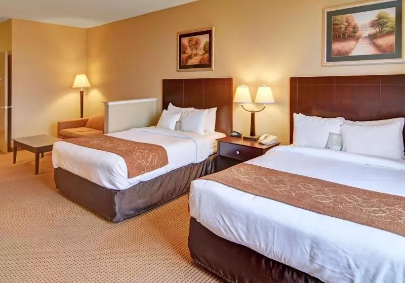 Отель Comfort Suites Roanoke   Fort Worth North