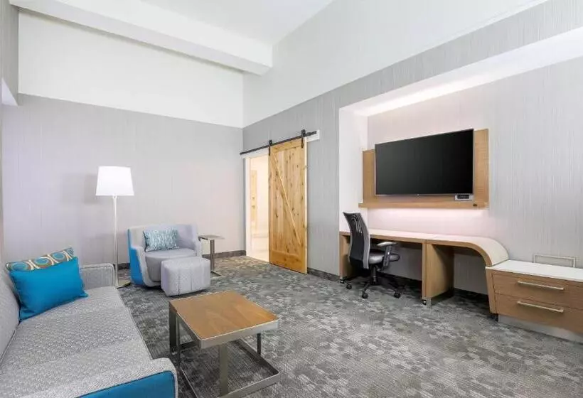 هتل Courtyard By Marriott Pittsburgh Downtown