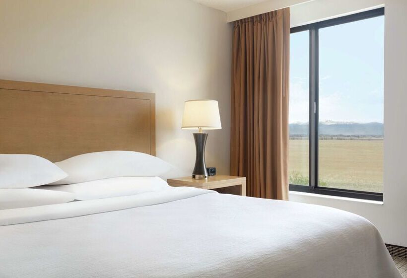 فندق Embassy Suites By Hilton Denver International Airport