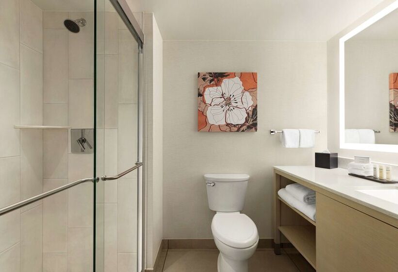 فندق Embassy Suites By Hilton Denver International Airport