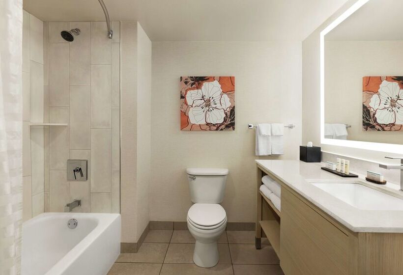 فندق Embassy Suites By Hilton Denver International Airport