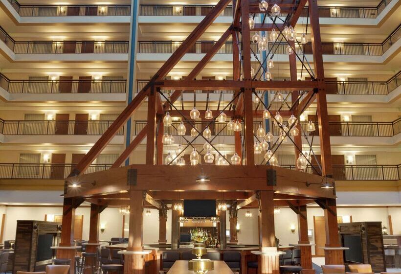 فندق Embassy Suites By Hilton Denver International Airport