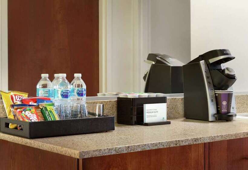 فندق Embassy Suites By Hilton Denver International Airport