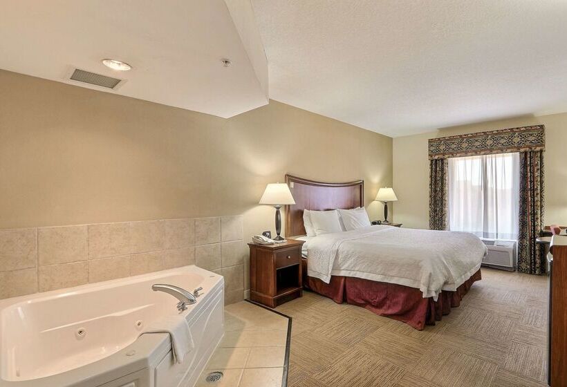 فندق Hampton Inn & Suites Savannah   I 95 South   Gateway