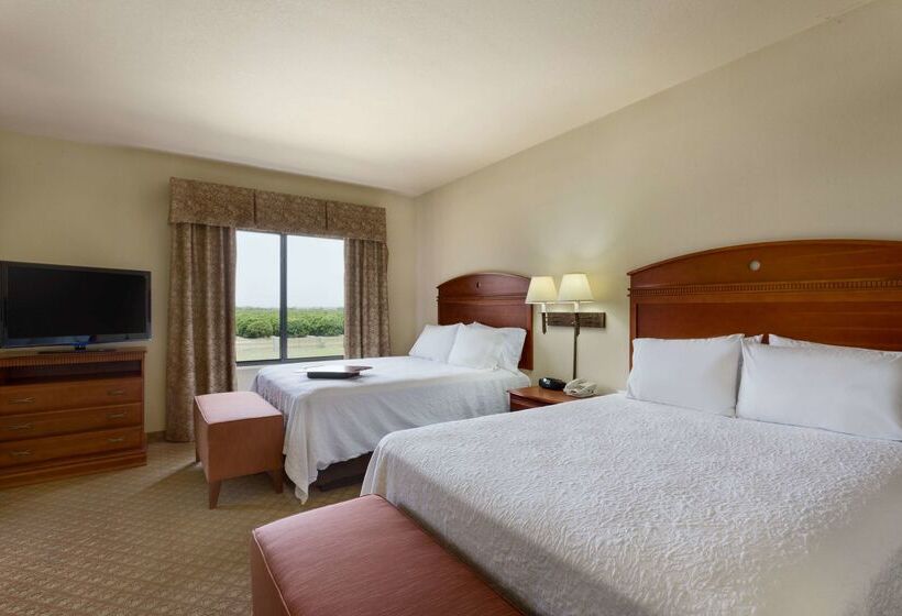 בית מלון כפרי Hampton Inn & Suites Pharr