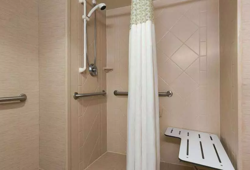 Hotel Hampton Inn & Suites Williamsburg Historic District