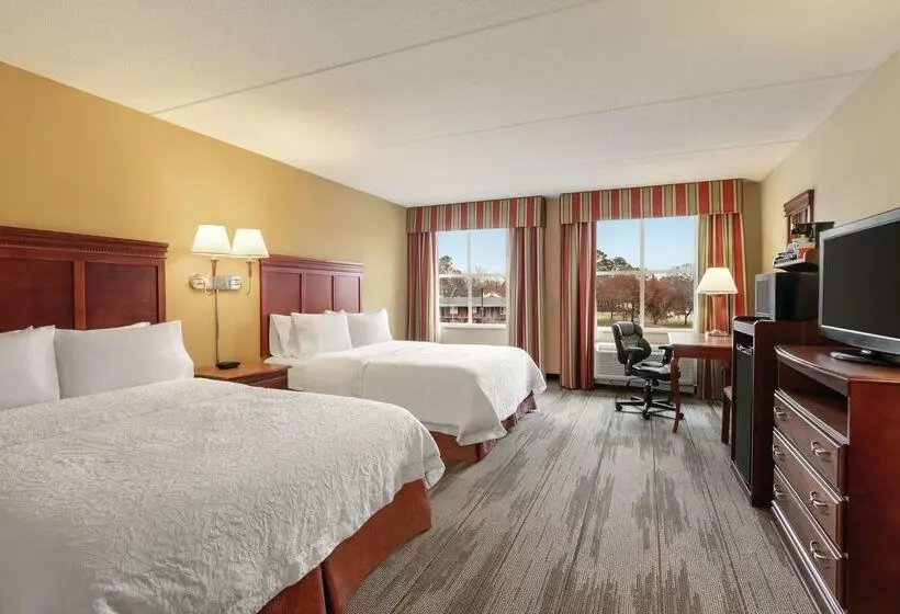 Hotel Hampton Inn & Suites Williamsburg Historic District