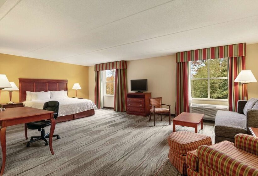 فندق Hampton Inn & Suites Williamsburg Historic District