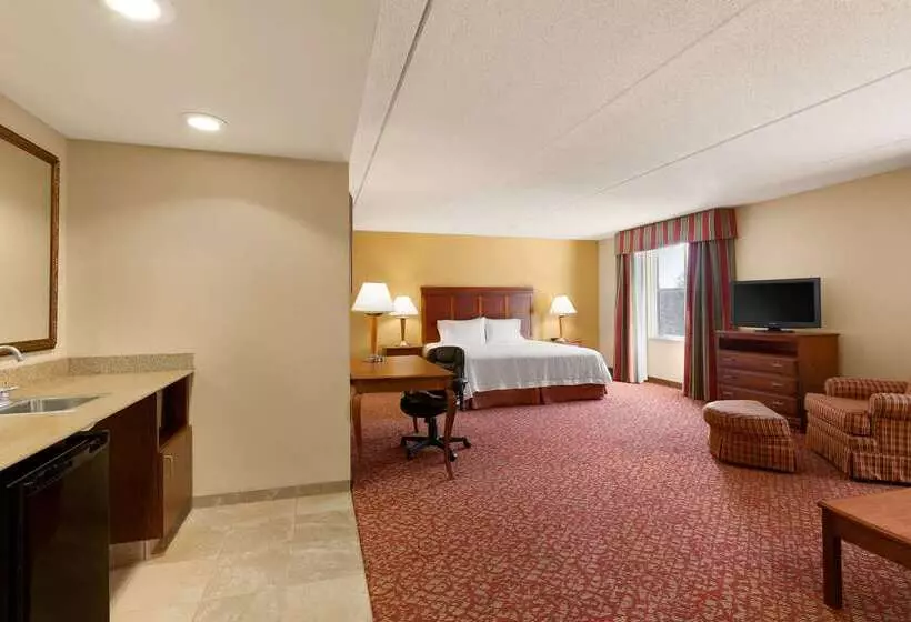 Hotel Hampton Inn & Suites Williamsburg Historic District