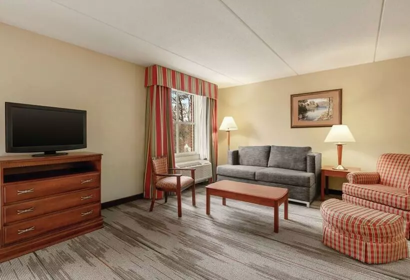 Hotel Hampton Inn & Suites Williamsburg Historic District