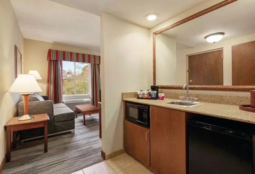 Hotel Hampton Inn & Suites Williamsburg Historic District