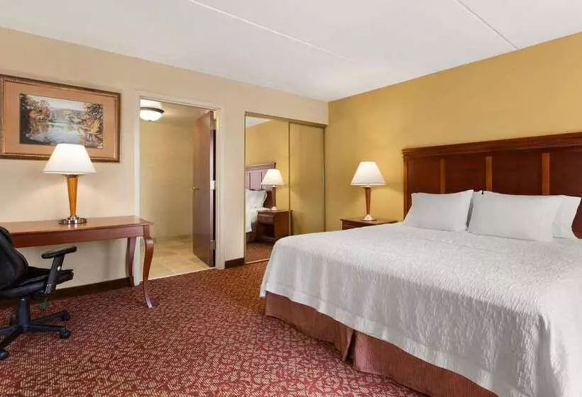 Hotel Hampton Inn & Suites Williamsburg Historic District