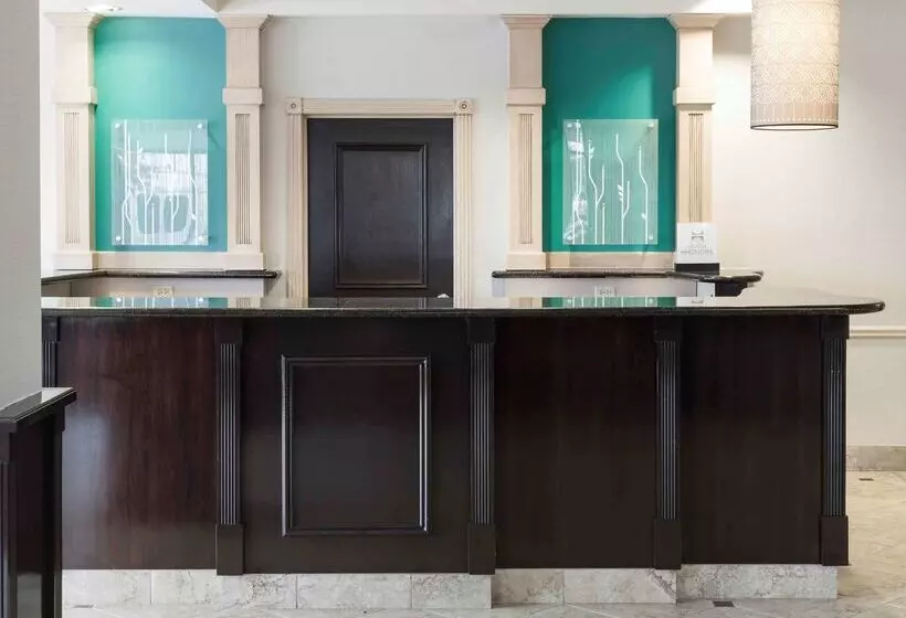 酒店 Hilton Garden Inn Dallas Lewisville