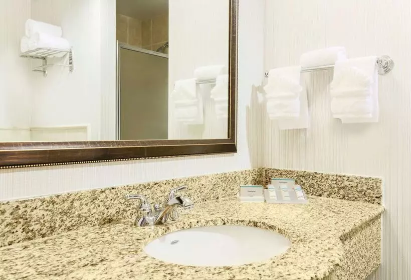 酒店 Hilton Garden Inn Dallas Lewisville