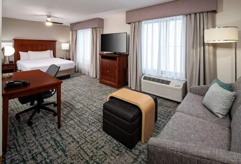 هتل Homewood Suites By Hilton Jacksonville South/st. Johns Ctr