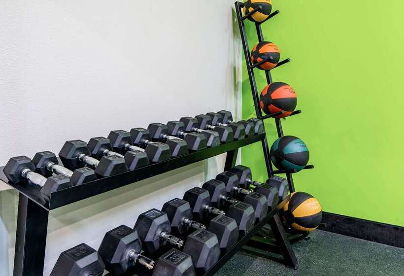 בית מלון כפרי La Quinta By Wyndham Alamo Mcallen East