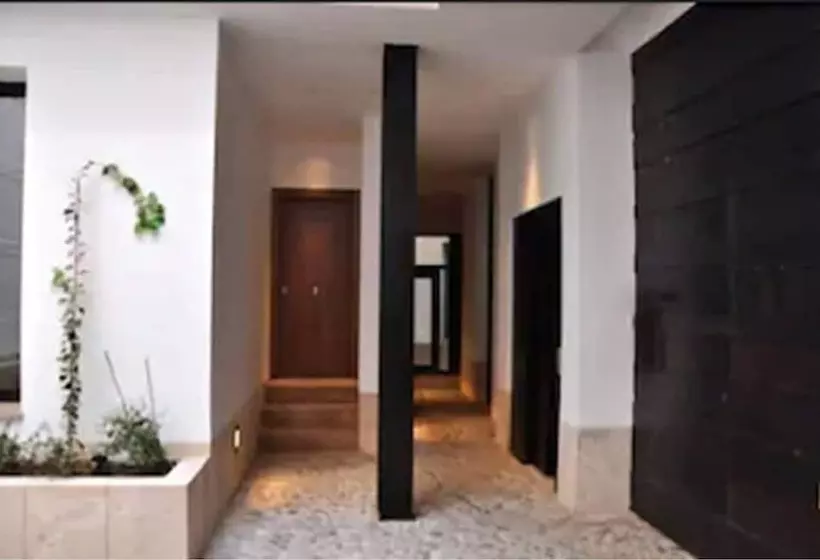 Apartamentos Coronado