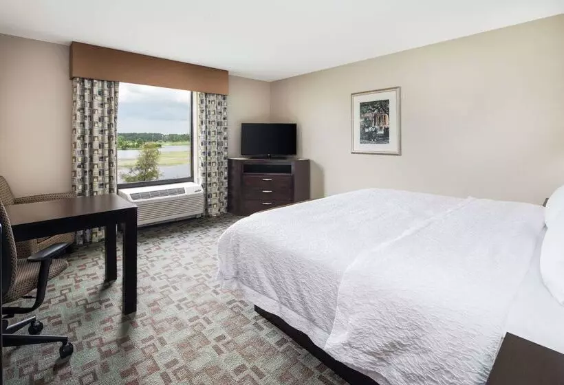 Hampton Inn & Suites Savannahairport
