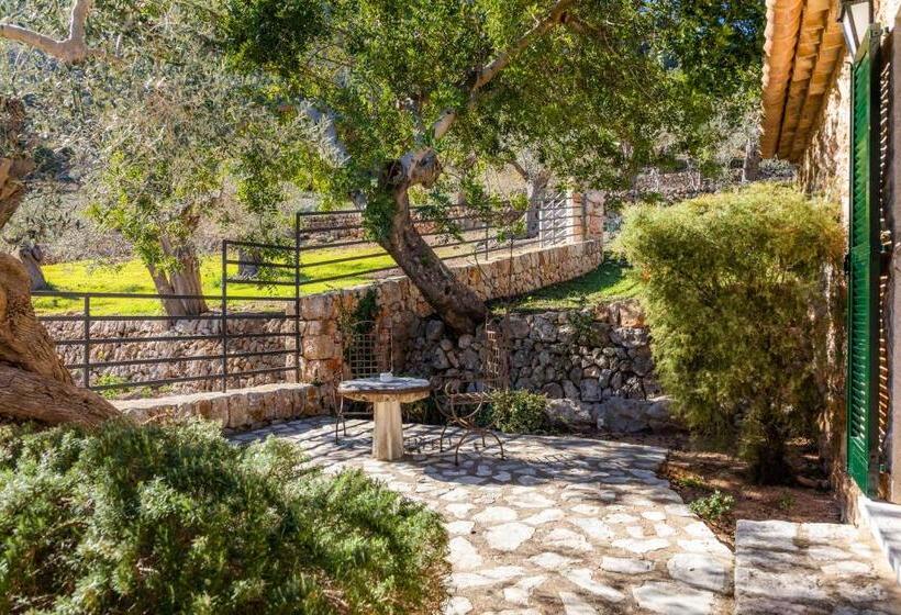 בית מלון כפרי Finca Albellons