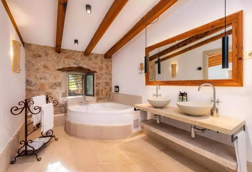 ホテル Finca Albellons