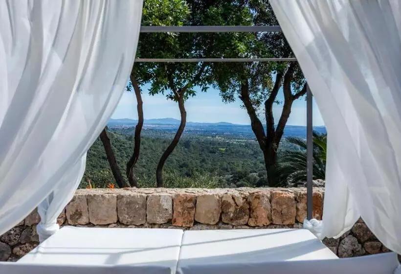 ホテル Finca Albellons