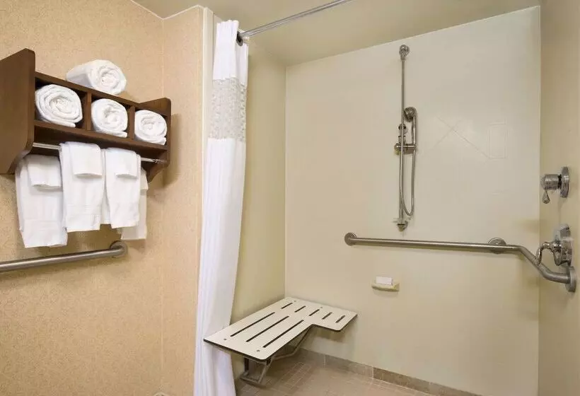 ホテル Hampton Inn & Suites Williamsburg Central