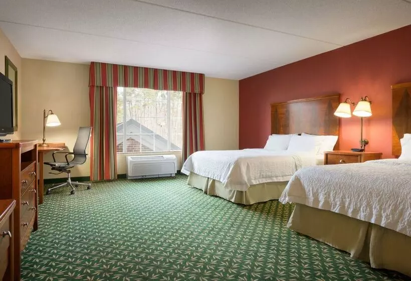 ホテル Hampton Inn & Suites Williamsburg Central