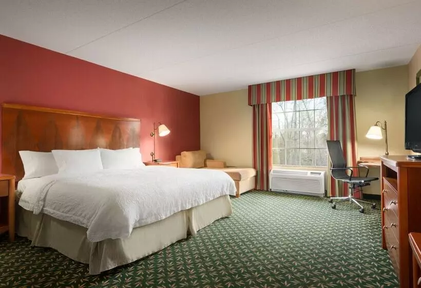ホテル Hampton Inn & Suites Williamsburg Central