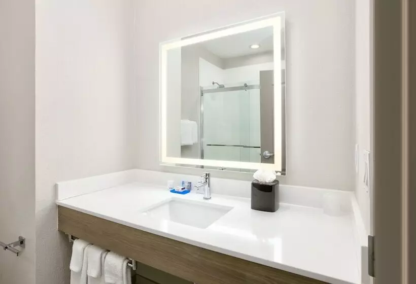 ホテル Holiday Inn Express & Suites North Dallas At Preston, An Ihg