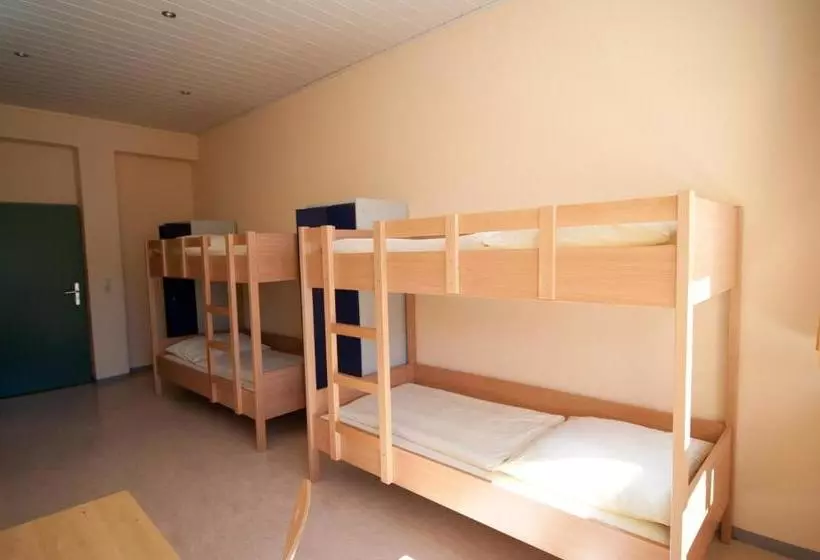 فندق Haus International Hostel