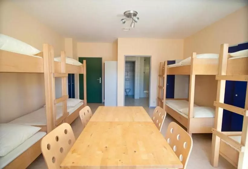 فندق Haus International Hostel