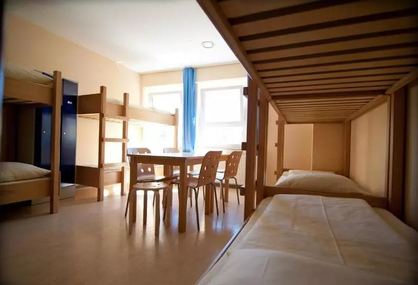 فندق Haus International Hostel