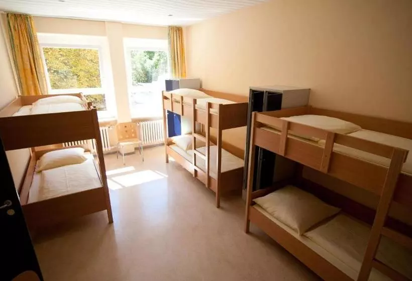 فندق Haus International Hostel