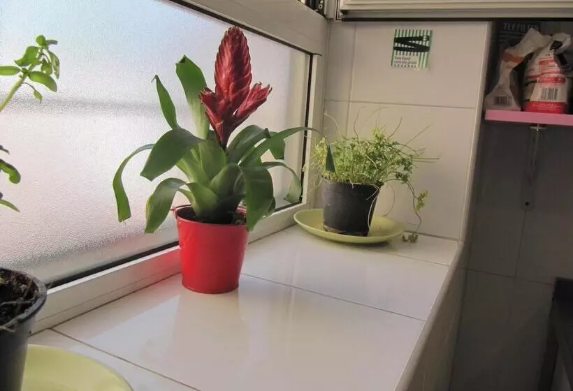 Общежитие Mellow Barcelona