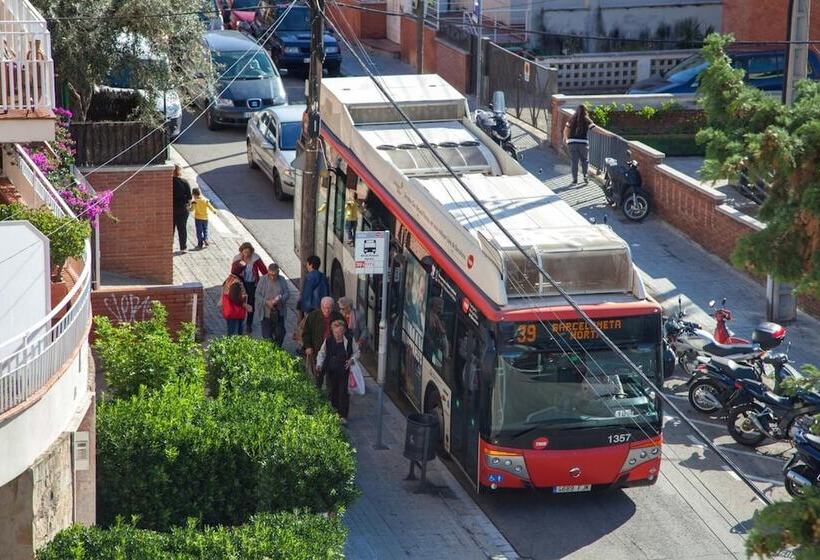 هاستل Mellow Barcelona