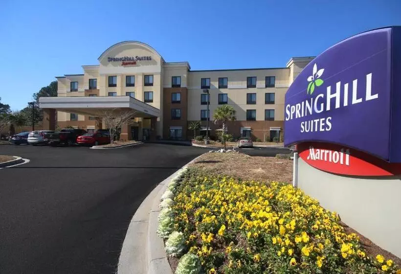 Springhill Suites By Marriott Charleston North